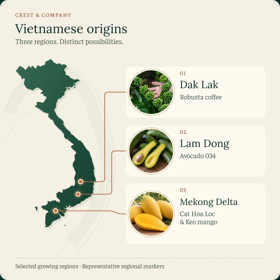 Vietnam growing regions: Dak Lak coffee, Lam Dong avocado 034, and Cat Hoa Loc and Keo mango from the Mekong Delta.